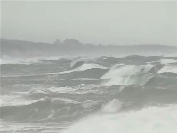 Cyclone Montha intensifies into severe cyclonic storm, set to hit Andhra Coast tonight: IMD